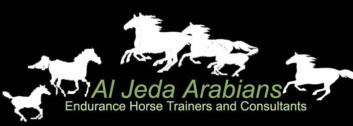 Aljeda-Arabians | Endurance Horse Trainers and Consultants